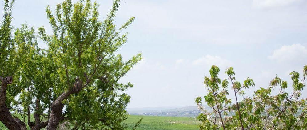 Masseria La Meridiana Pensión Altamura